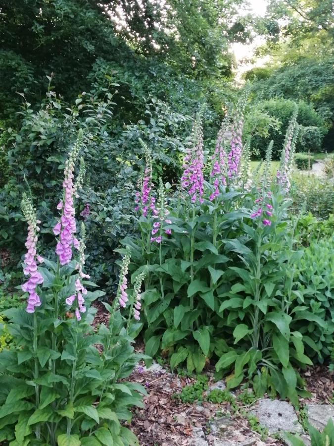Chambre E Andre Le Domaine Des Jardins De Bracquetuit المظهر الخارجي الصورة