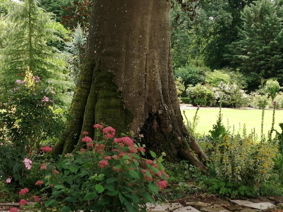 Chambre E Andre Le Domaine Des Jardins De Bracquetuit المظهر الخارجي الصورة