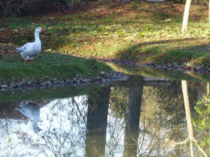 Chambre E Andre Le Domaine Des Jardins De Bracquetuit المظهر الخارجي الصورة