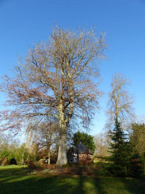 Chambre E Andre Le Domaine Des Jardins De Bracquetuit المظهر الخارجي الصورة